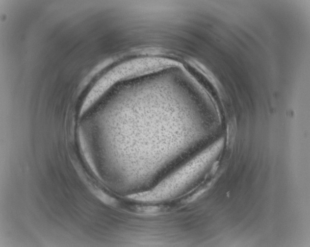 X0000083050301200702232002