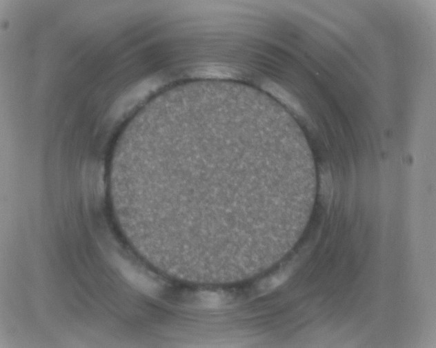 X0000083050302200702232002