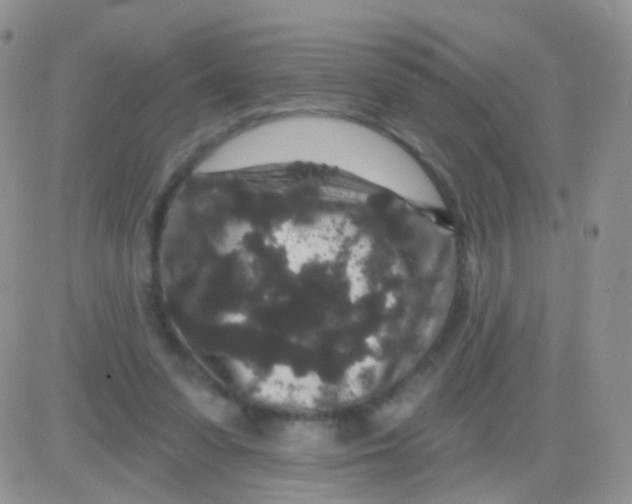 X0000083050303200702232002