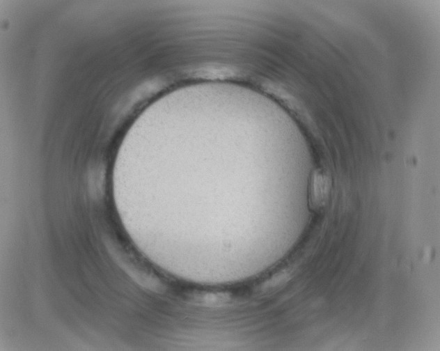 X0000083050304200702232002