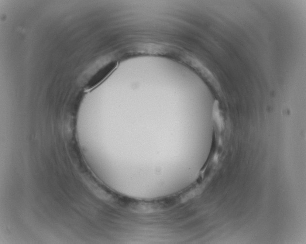 X0000083050305200702232002