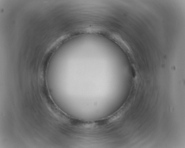 X0000083050306200702232002