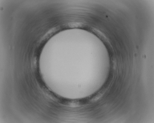 X0000083050308200702232002