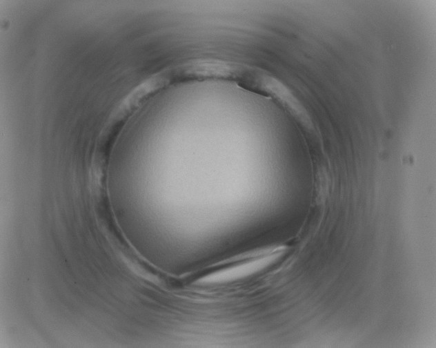 X0000083050309200702232002