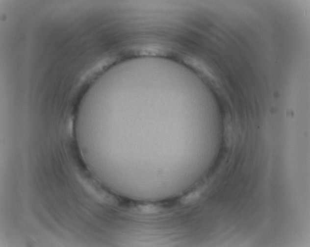 X0000083050310200702232002