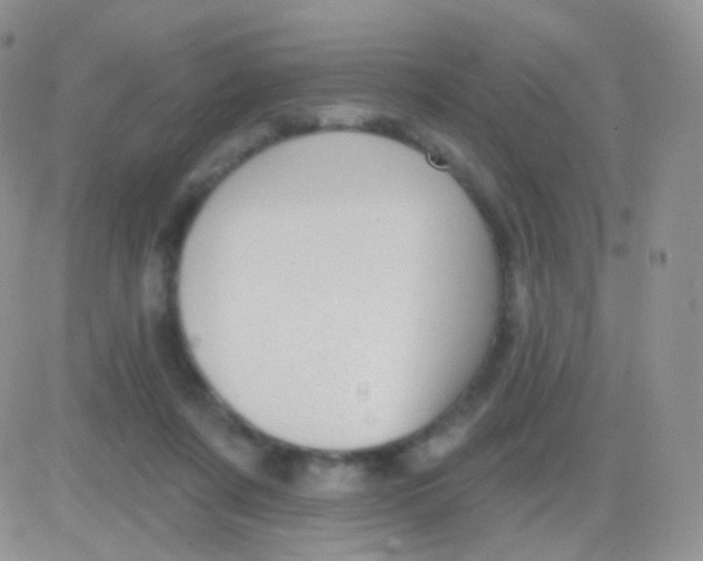 X0000083050311200702232002