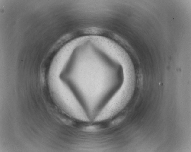 X0000083050312200702232002