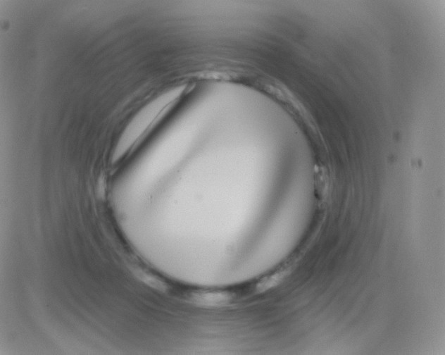 X0000083050313200702232002