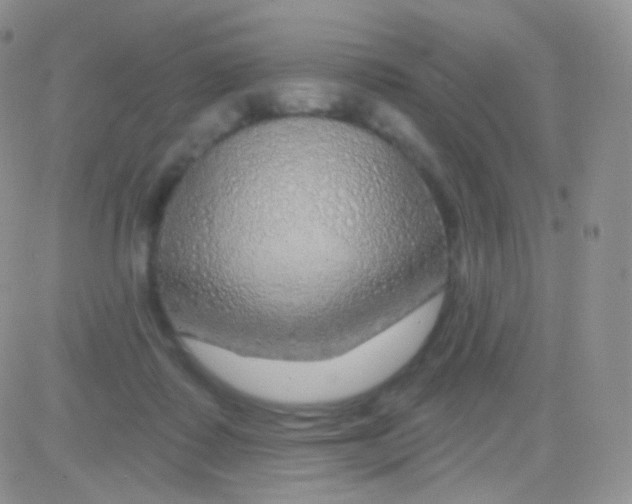 X0000083050315200702232002