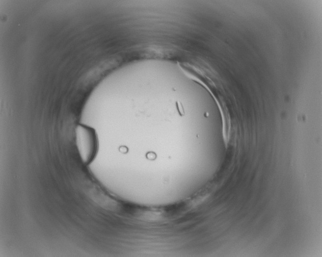 X0000083050318200702232002