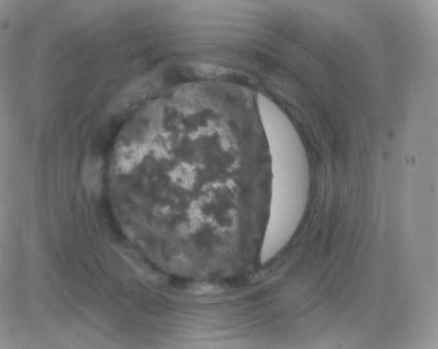 X0000083050319200702232002