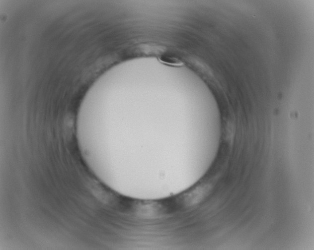 X0000083050321200702232002