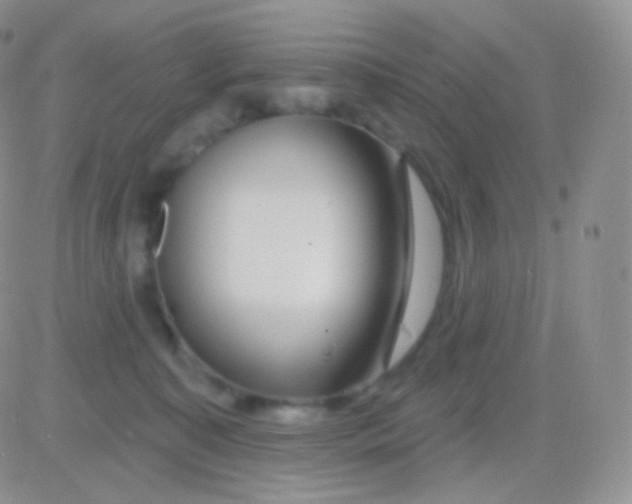 X0000083050323200702232002