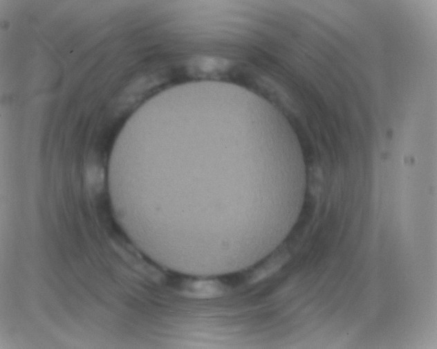 X0000083050324200702232002