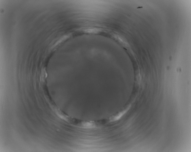 X0000083050325200702232002