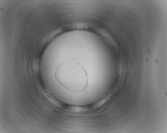 X0000083050326200702232002