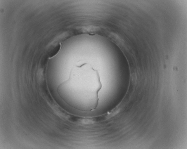 X0000083050327200702232002