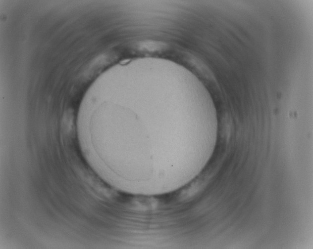 X0000083050328200702232002