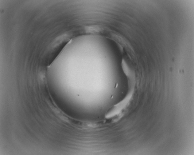 X0000083050329200702232002