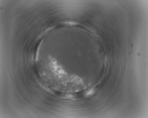 X0000083050330200702232002