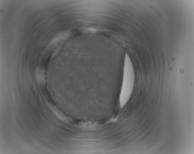 X0000083050331200702232002