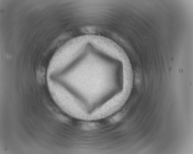 X0000083050332200702232002