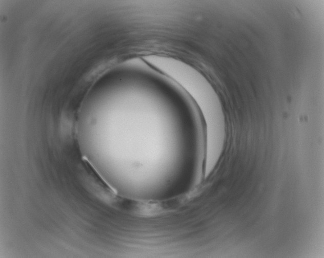 X0000083050333200702232002