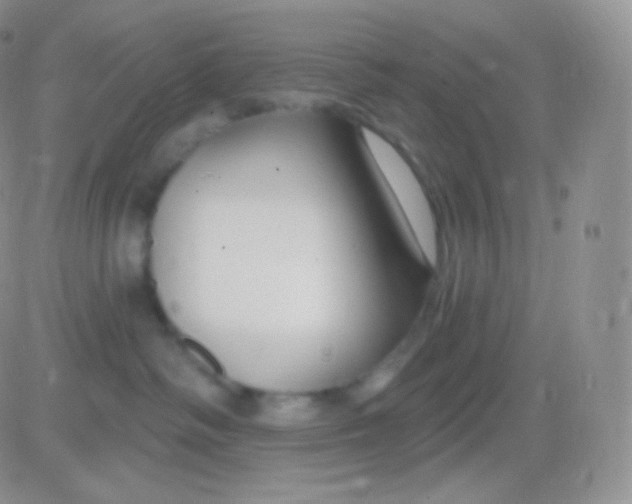 X0000083050334200702232002