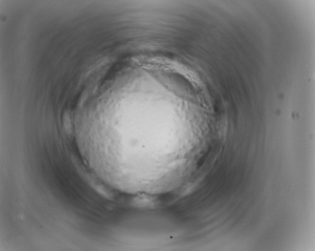 X0000083050335200702232002