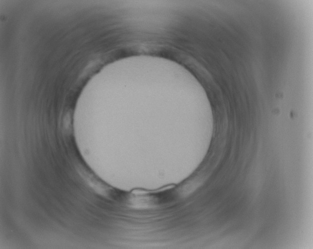 X0000083050336200702232002