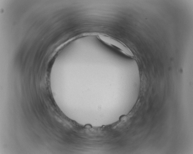 X0000083050338200702232001