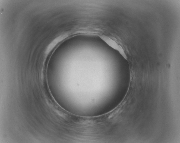 X0000083050340200702232001