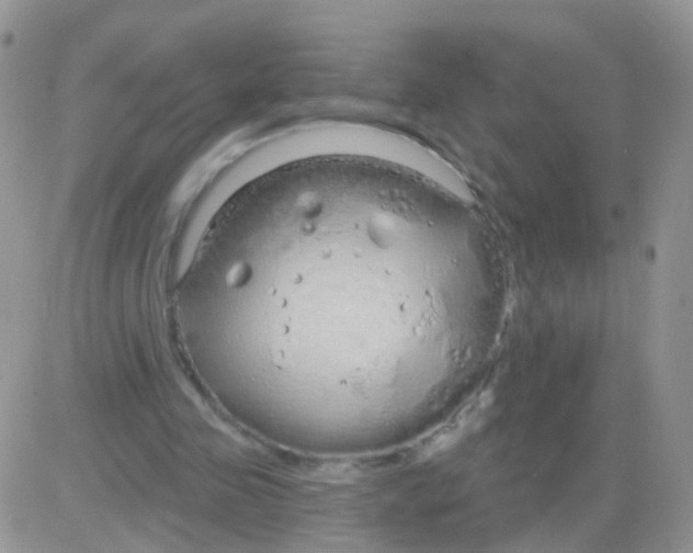 X0000083050341200702232001