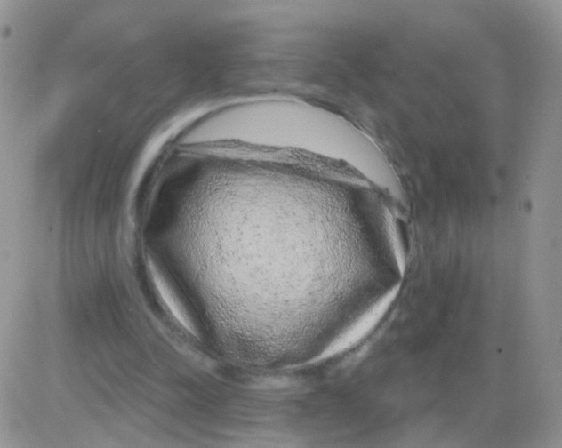 X0000083050342200702232001