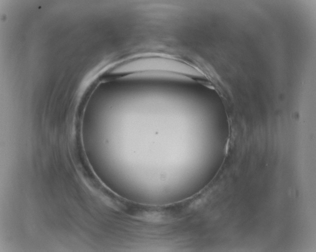 X0000083050344200702232001