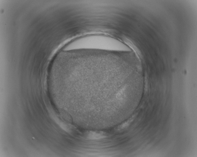 X0000083050346200702232001