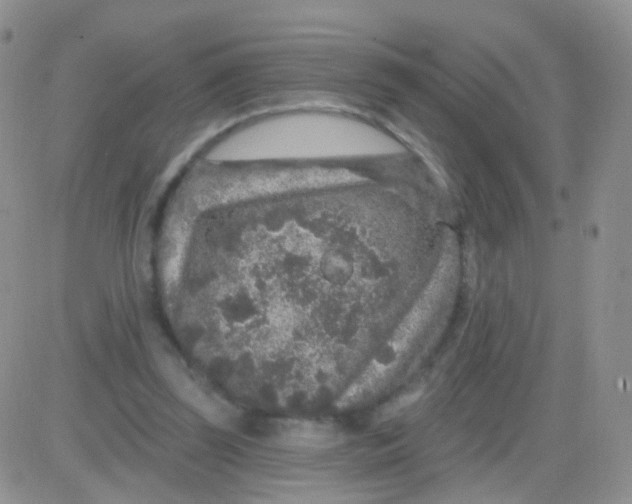 X0000083050347200702232001