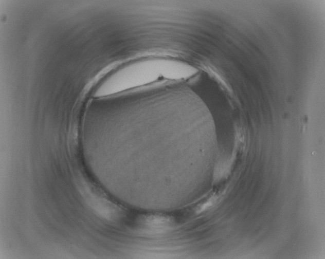 X0000083050348200702232001