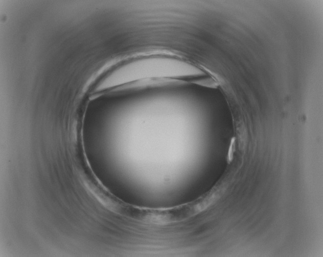 X0000083050350200702232001