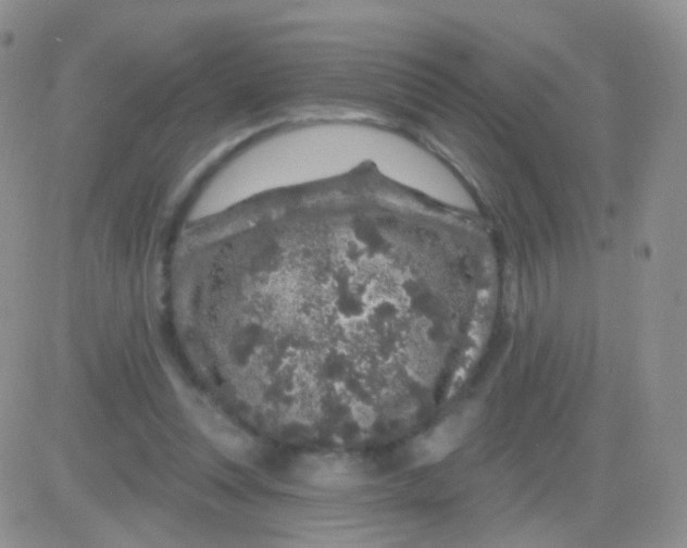 X0000083050351200702232001