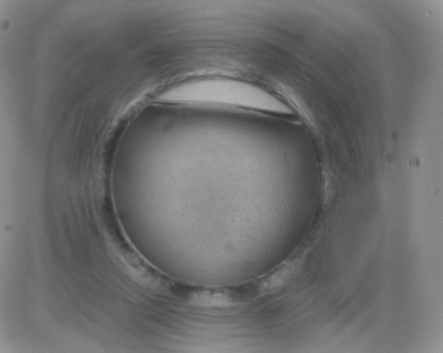 X0000083050354200702232001