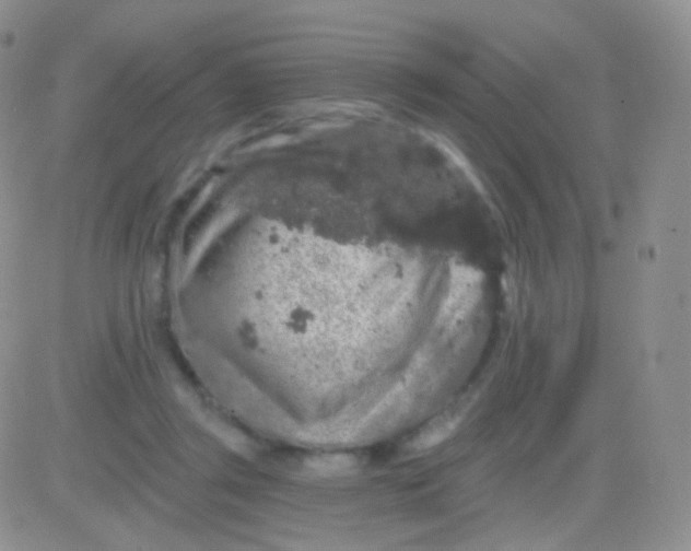 X0000083050357200702232001