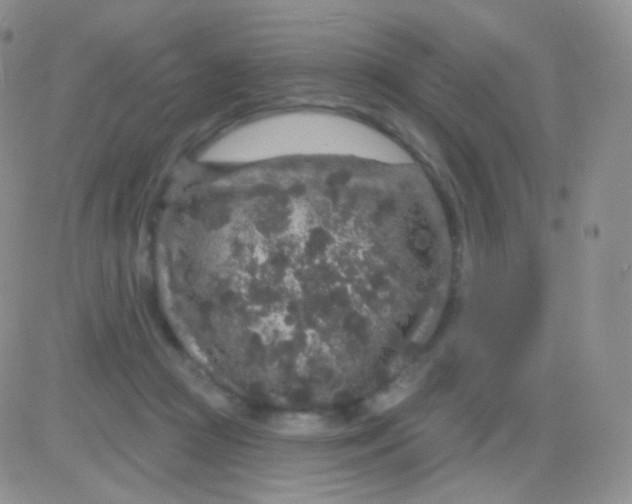 X0000083050361200702232001