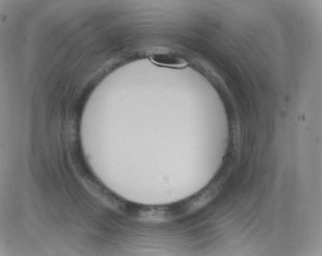 X0000083050362200702232001