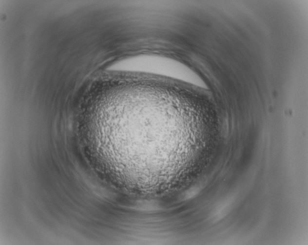 X0000083050363200702232001