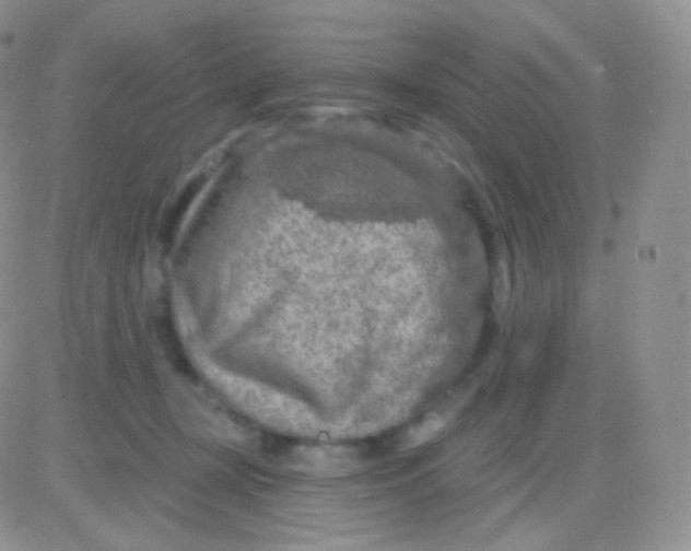 X0000083050367200702232001