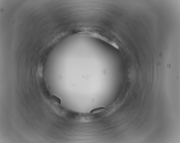 X0000083050368200702232001