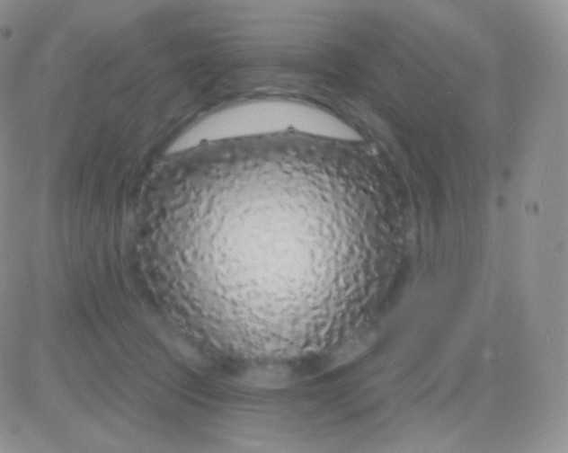 X0000083050369200702232001