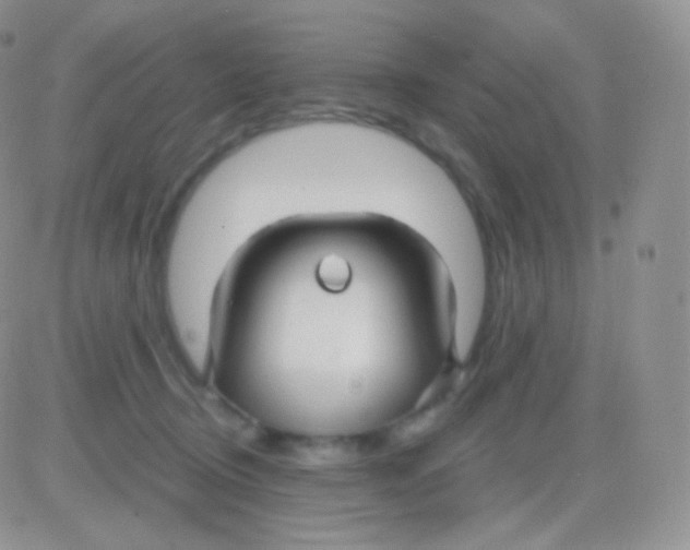 X0000083050370200702232001