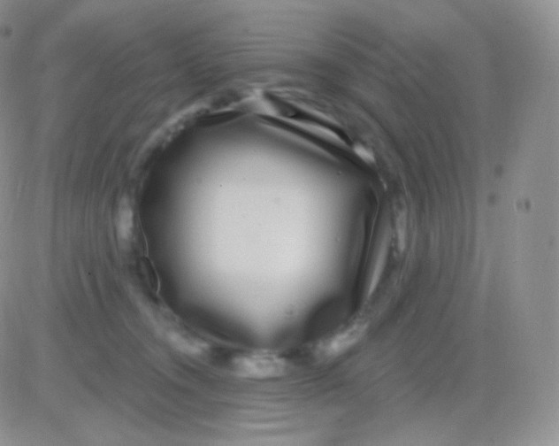 X0000083050372200702232001